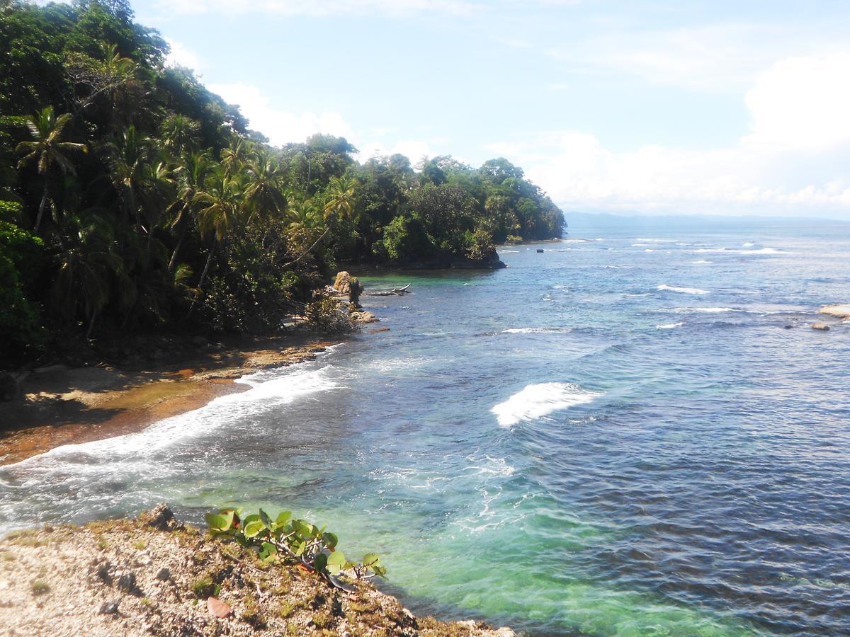 Rosa Lodge Cahuita Dış mekan fotoğraf