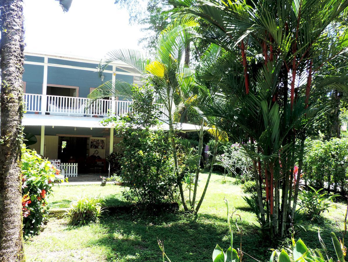 Rosa Lodge Cahuita Dış mekan fotoğraf