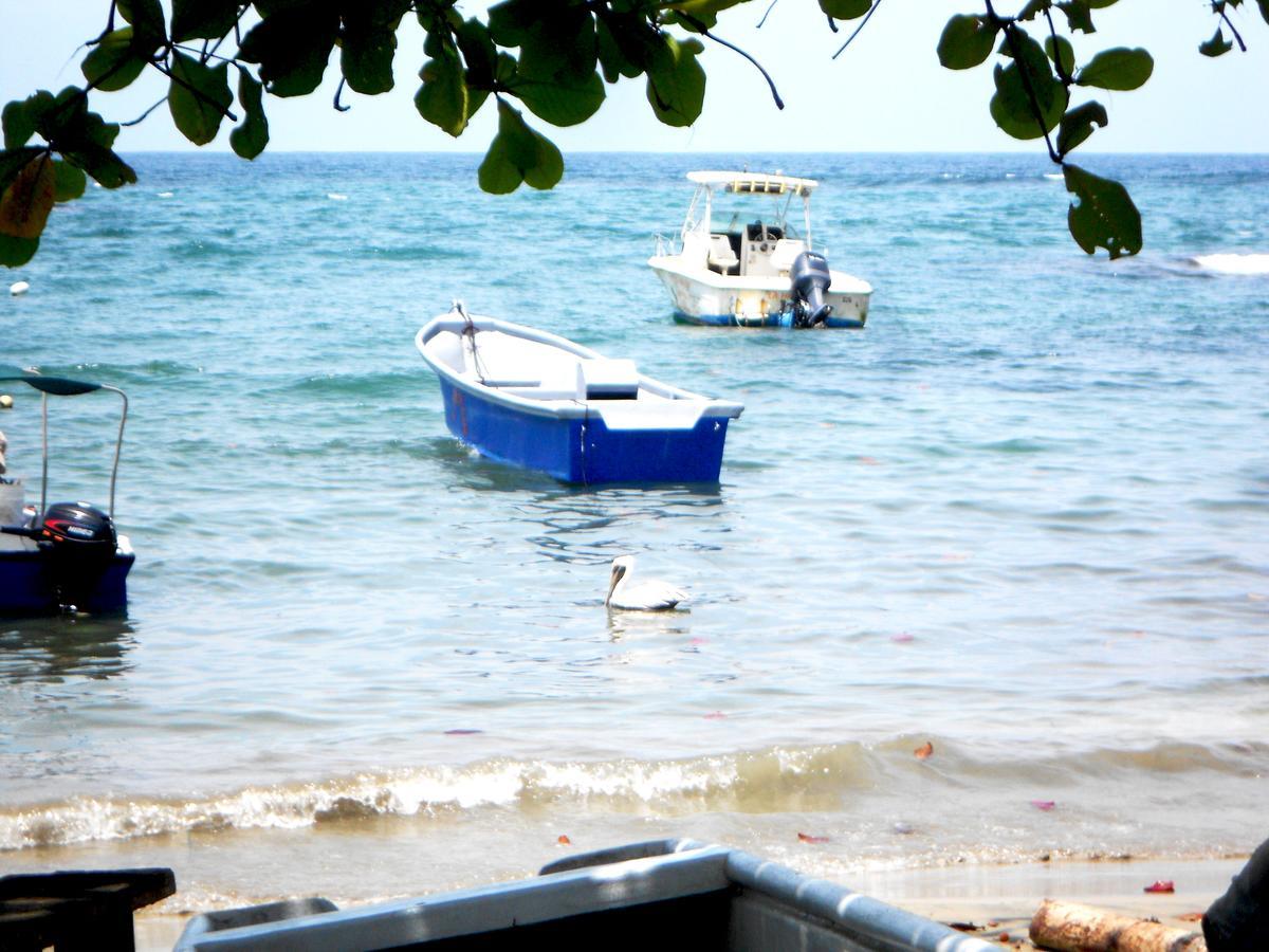 Rosa Lodge Cahuita Dış mekan fotoğraf