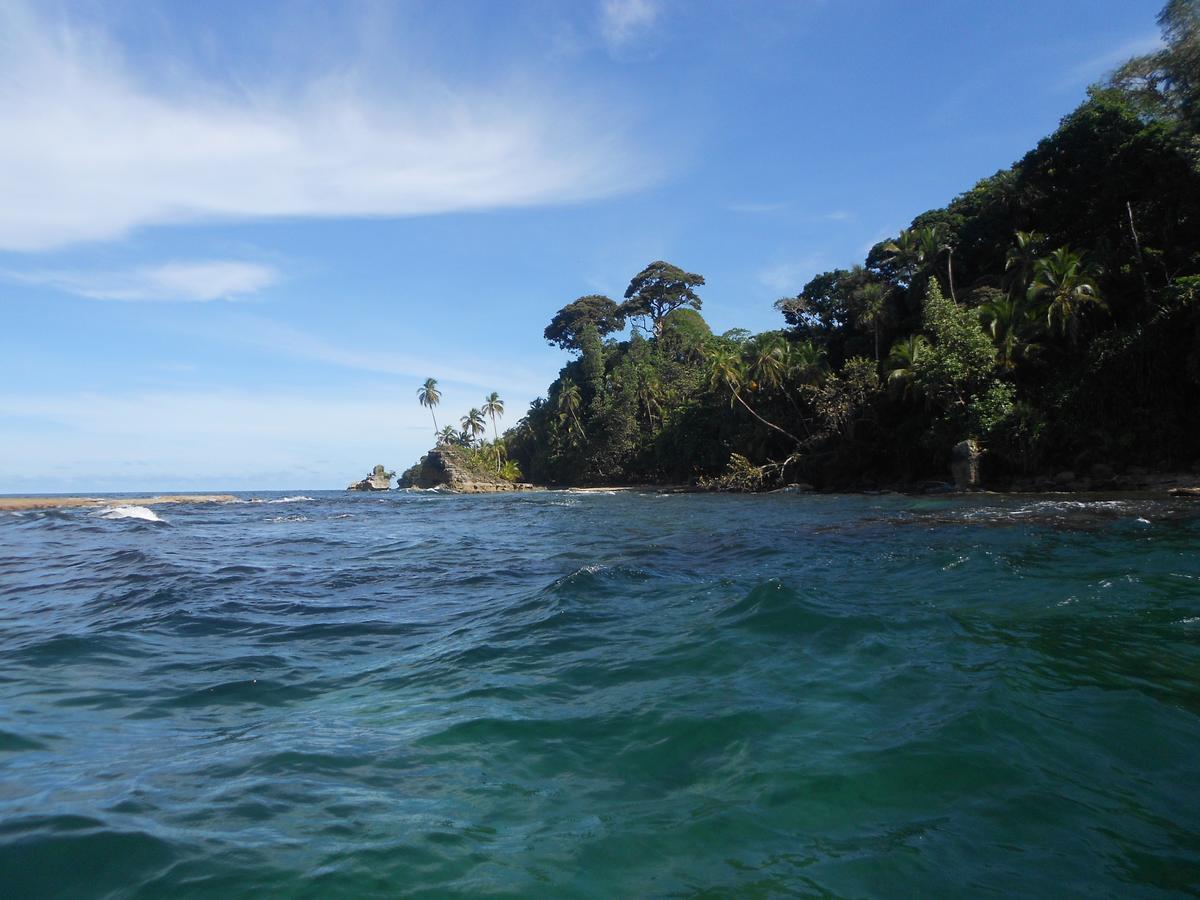 Rosa Lodge Cahuita Dış mekan fotoğraf